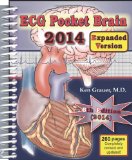 ECG-2014-Pocket Brain (Expanded Version) 