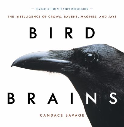 Bird Brains The Intelligence of Crows, Ravens, Magpies, and Jays  9781771644259 Front Cover