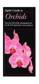 Taylor's Guide to Orchids More Than 300 Orchids, Photographed and Described, for Beginning to Expert Gardeners  9780395677261 Front Cover