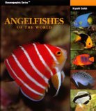 Angelfishes of the World cover art
