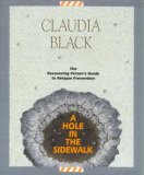Hole in the Sidewalk : A Recovering Person's Guide to Relapse Prevention cover art