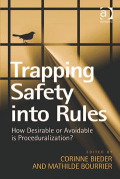 Trapping Saftey into Rules How Desirable and Avoidable Is Proceduralization of Saftey? 2013 9781409452270 Front Cover
