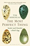 Most Perfect Thing Inside (and Outside) a Bird's Egg  9781408851272 Front Cover