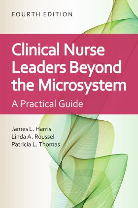 Clinical Nurse Leaders Beyond the Microsystem A Practical Guide 4th 9781284227277 Front Cover
