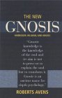 New Gnosis Heidegger, Hillman, and Angels  9780882143279 Front Cover