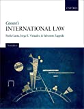 Cassese's International Law 3rd 9780199231287 Front Cover
