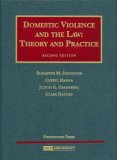 Domestic Violence and the Law Theory and Practice 2nd 9781599410289 Front Cover