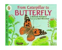 From Caterpillar to Butterfly  cover art