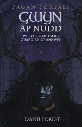 Pagan Portals - Gwyn Ap Nudd Wild God of Faery, Guardian of Annwfn  9781785356292 Front Cover