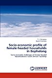 Socio-Economic Profile of Female-Headed Households in Bophelong 2012 9783659263293 Front Cover