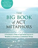 Big Book of ACT Metaphors A Practitioner's Guide to Experiential Exercises and Metaphors in Acceptance and Commitment Therapy  9781608825295 Front Cover