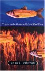 Travels in the Genetically Modified Zone  cover art
