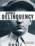 Juvenile Delinquency  9780137074297 Front Cover