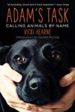 Adam's Task Calling Animals by Name  9781510704299 Front Cover