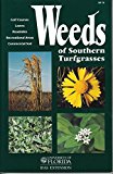 Weeds of Southern Turfgrasses 