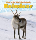 Reindeer 2011 9781432953300 Front Cover