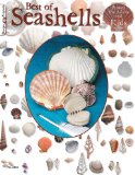 Best of Seashells Projects for Adults and Kids 2010 9781574213300 Front Cover
