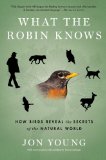 What the Robin Knows How Birds Reveal the Secrets of the Natural World cover art