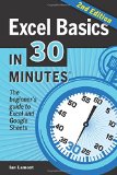 Excel Basics in 30 Minutes, 2nd Edition The Quick Guide to Microsoft Excel and Google Sheets 2nd 9781939924308 Front Cover