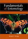 Fundamentals of Entomology 