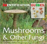 Mushrooms and Other Fungi 2007 9781844519309 Front Cover