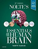 Nolte's Essentials of the Human Brain 2nd 9780323529310 Front Cover