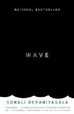 Wave A Memoir cover art