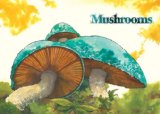 Mushroom Magick A Visionary Field Guide 2009 9780810996311 Front Cover