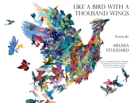 Like a Bird with a Thousand Wings 1st 9781733023313 Front Cover