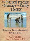 Practical Practice of Marriage and Family Therapy Things My Training Supervisor Never Told Me  9780789004314 Front Cover