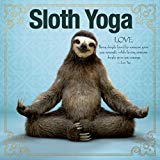 Sloth Yoga  9781682348314 Front Cover