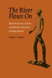 River Flows On Black Resistance, Culture, and Identity Formation in Early America cover art