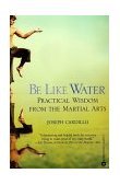 Be Like Water Practical Wisdom from the Martial Arts cover art