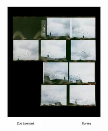 Zoe Leonard Survey  9783791357317 Front Cover