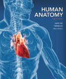 Human Anatomy  cover art