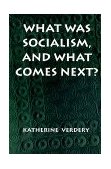 What Was Socialism, and What Comes Next? 