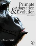Primate Adaptation and Evolution 