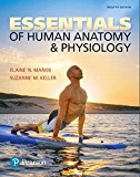 Essentials of Human Anatomy &amp; Physiology: 