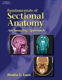 Fundamentals of Sectional Anatomy An Imaging Approach 2004 9781401879327 Front Cover