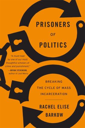 Prisoners of Politics Breaking the Cycle of Mass Incarceration  9780674248328 Front Cover