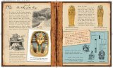 Egyptology Handbook A Course in the Wonders of Egypt 2005 9780763629328 Front Cover