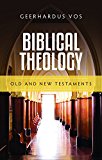 BIBLICAL THEOLOGY  9781848714328 Front Cover
