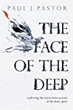 Face of the Deep Exploring the Mysterious Person of the Holy Spirit  9780781413329 Front Cover
