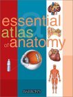 Essential Atlas of Anatomy  cover art