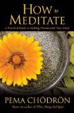 How to Meditate A Practical Guide to Making Friends with Your Mind  9781604079333 Front Cover