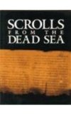 Scrolls from the Dead Sea 1993 9780807613337 Front Cover