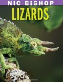 Lizards  cover art