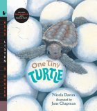 One Tiny Turtle 2008 9780763638344 Front Cover