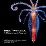 Images from Science 2 An Exhibition of Scientific Photography 2008 9781933360348 Front Cover