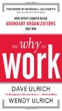 Why of Work: How Great Leaders Build Abundant Organizations That Win  cover art